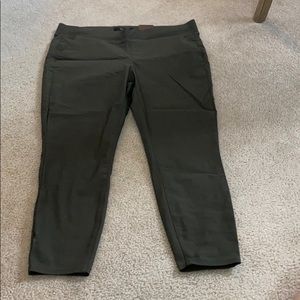 Torrid pull on trouser